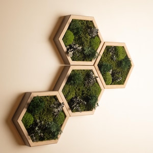 Hexagon Moss Art, Moss Wood Decor, Wooden Preserved Moss Wall Sets, Custom Made Moss Wall Decor, Anniversary Gift, Gift for Boss