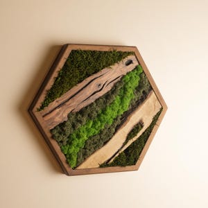 Hexagon Moss Art, Olive Wood Moss Decor, Geometric Wall Art,  Custom Made Moss Wall Decor, Housewarming Gifts, Gift for Him, Home Decor