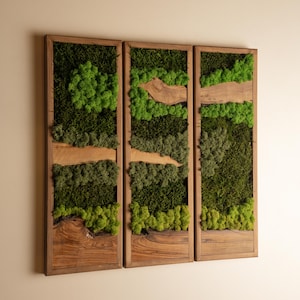 Olivenholz und Moos Kunst, Rechteck Rahmen Moos Wand Panel, Bauernhaus Dekor, Eingangsbereich Dekor, Geburtstagsgeschenk für Frauen, Einzigartige Wandbehang