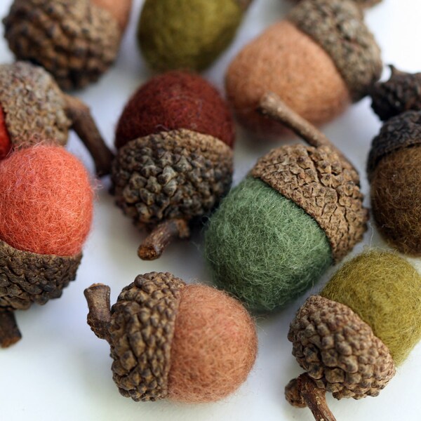 Felted Wool Acorns in shades green and brown - Set of 6