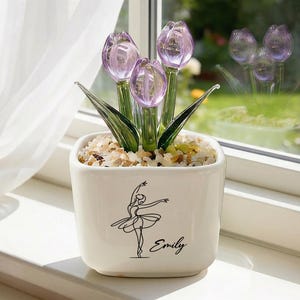Glass Planters - Etsy
