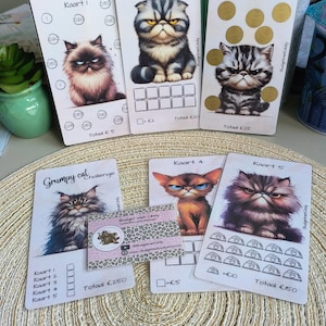 Grumpy Cats set a6