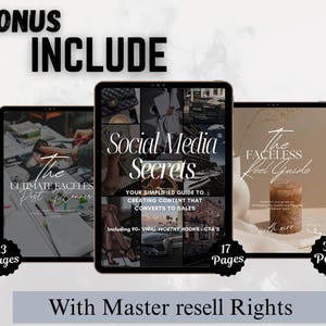 2 PLR guides and Ultimate post Planner Bonus