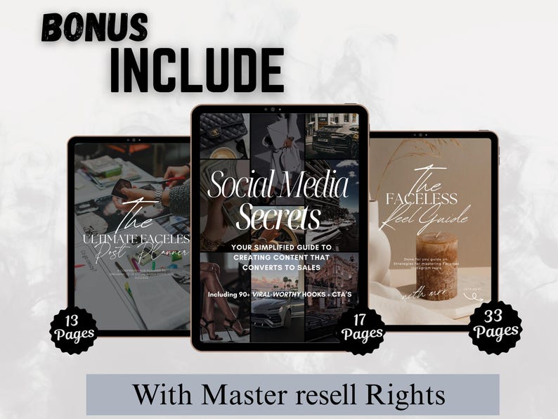 2 PLR guides and Ultimate post Planner Bonus