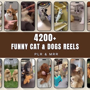 Może przedstawiać: Kolaż ekranów smartfonów przedstawiających różne koty i psy. Obraz zawiera brązowy baner z tekstem "4200+ FUNNY CAT & DOGS REELS PLR & MRR". Ekrany pokazują różne rasy i kolory kotów i psów.