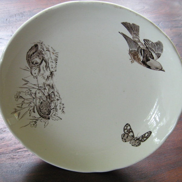 Rare Antique Transferware Comport Cakestand Aesthetic Brown Birds Butterflies Victorian Staffordshire Collectible Display