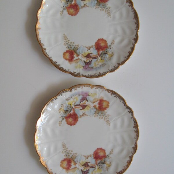 Vintage Plates Aynsley 1954 Pair Flowers Gold Bone China England Collectible Cabinet Display