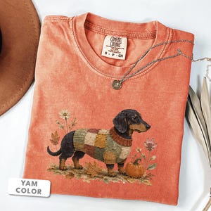Camiseta de punto con estampado de perro salchicha / Camiseta de patchwork otoñal acogedora para perros / Camiseta de colores cómodos para perros salchicha en otoño / Regalo para amantes de los perros con estampado de calabaza