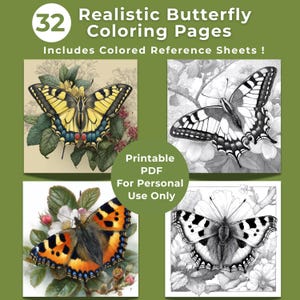 May include: A digital download featuring 32 realistic butterfly coloring pages. The image includes four butterfly illustrations in color and grayscale, with the text "Realistic Butterfly Coloring Pages" and "Includes Colored Reference Sheets!"