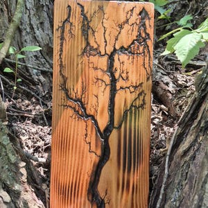 Fractal wood burning