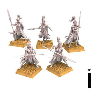 Hight Elves - Silvermoor - Sisterhood Praetorians  - Beholder Miniatures