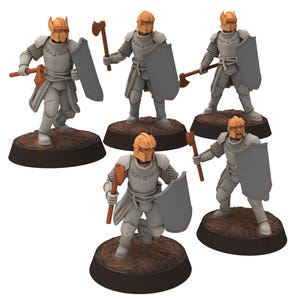 Gandor - Heavy men at arms with Axes and Shields - Quartermaster3D