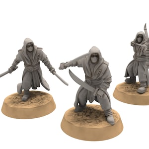Harad - x4 Cobra Assassins - Dunes of Qarath - Quatermaster3D