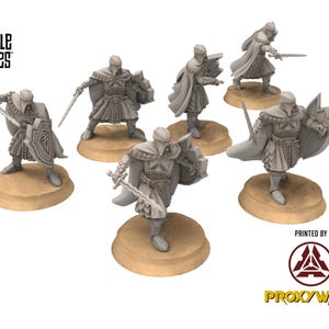 Harad - x6 Fallen Knights with Swords and Shields - Drelkars - Shadowspire - Davale Games