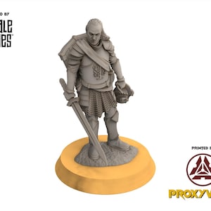 Gandor - Veteran Grey Castle Captain V1 | Ring of Legends - Davale Games