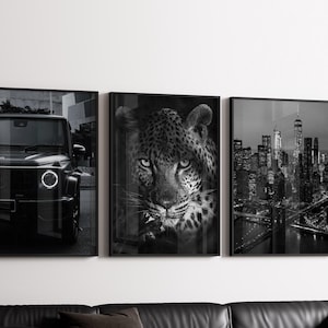 Könnte beinhalten: Dreiteiliges Set gerahmter Schwarz-Weiß-Drucke. Die Bilder zeigen einen luxuriösen SUV, das Gesicht eines Leoparden und eine Skyline von New York City. Die Rahmen sind schwarz, und die Drucke sind an einer weißen Wand angebracht.
