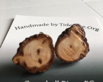 Natural Raw Edge Stud Earrings made from BC Wood