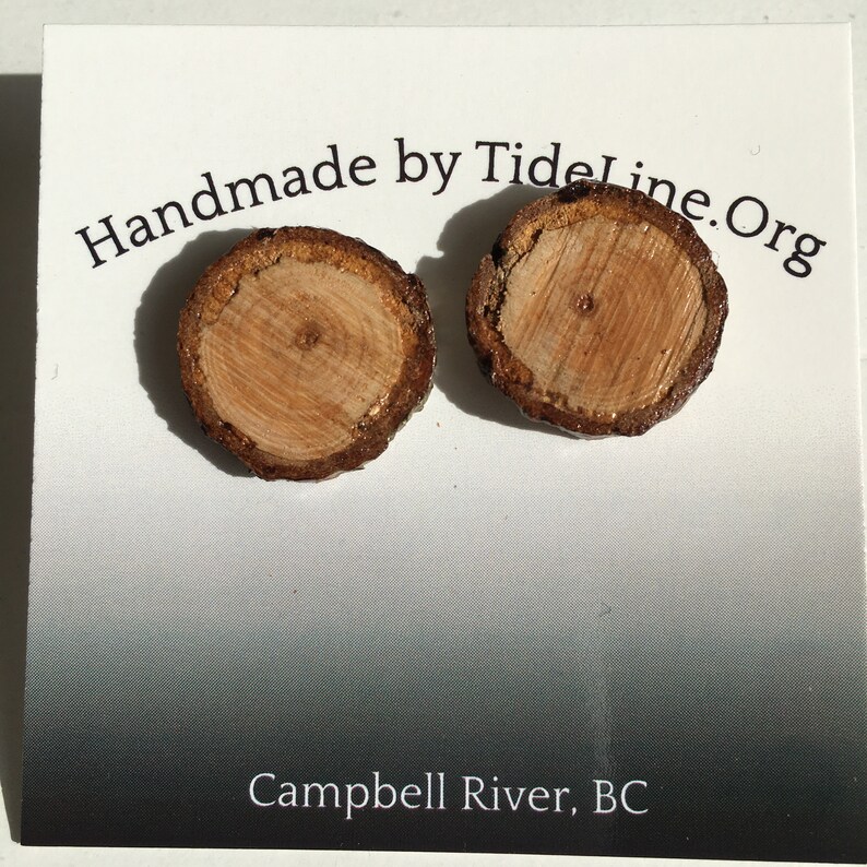 Natural Raw Edge Stud Earrings made from BC Wood
