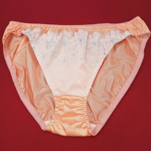 Sissy Sheer Nylon Bikini Panties Granny Style Lingerie for Crossdresser Men Women Underwear - FMA01