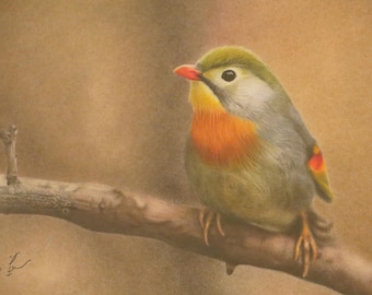 Disegno a matita colorata di un uccello