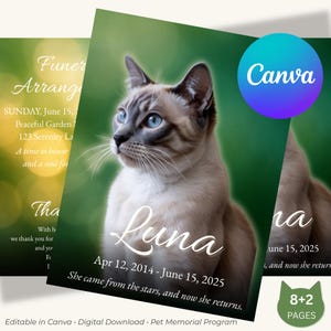 Szablon programu upamiętniającego kota: edytowalna broszura pogrzebowa (Canva, natychmiastowe pobranie)