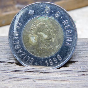 1996 Canadian 2 Dollar Coin Queen Elizabeth II & Polar Bear, 2 tone coin, collectors coin, circulated
