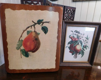 Stampa vintage di Chirat Borghese "Peches et Cerises", ambientata in campagna francese. Pesche in cucina. Cottage francese. Fiori di ciliegio. Illustrazione artistica incorniciata.