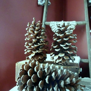 May include: Three brown pine cones on a wooden surface. The pine cones are arranged in a triangular shape. The pine cones are a natural, rustic decoration.