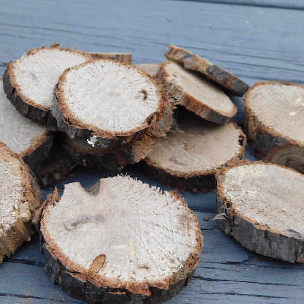 Live Edge small Southern Oak wood slices. 10 pieces Great for Crafts, Weddings, Decoration, Ornaments & Wood Burning  #FestiveEtsyFinds