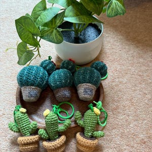 Handmade Crochet Cactus – Potted Amigurumi Plush & Keychain – No Water Needed!