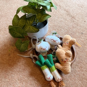 Pode incluir: Uma coleção de chaveiros de crochê feitos à mão em forma de vegetais, incluindo alho, cogumelos e gengibre. Os chaveiros apresentam rostos sorridentes e são em tons de branco, verde e castanho. Uma planta em vaso está no fundo.