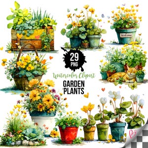 May include: Watercolor clipart featuring various garden plants in pots and baskets. The image includes a variety of colorful flowers, greenery, and butterflies. The text "29 PNG" and "Watercolor Clipart GARDEN PLANTS" is also visible.