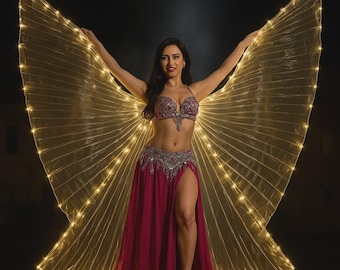 Può includere: Una ballerina di danza del ventre con un costume con ali illuminate. Il costume comprende un reggiseno e una cintura gioiellati e una lunga gonna magenta fluente con uno spacco alto. Le ali sono di tessuto dorato trasparente con luci.