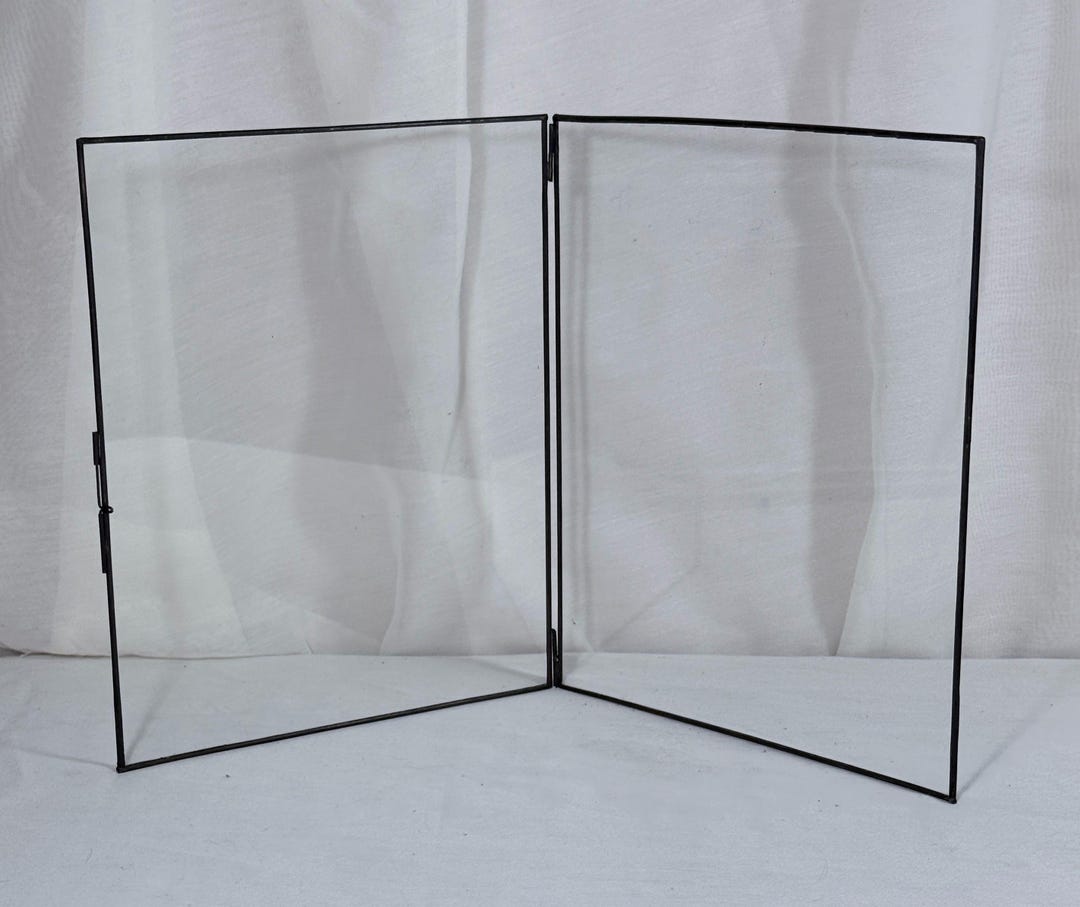 Black Metal Hinged Double Glass Floating Picture Frame Pressed Flower ...