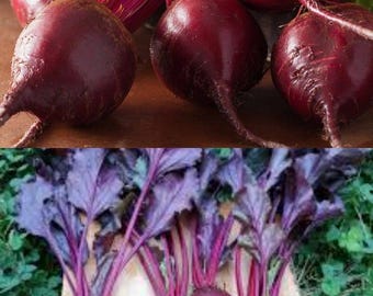 May include: Close-up of fresh beets with deep red roots and green leaves. Some beets are whole, while others are cut, revealing a vibrant pink interior. The beets are arranged on a wooden surface, showcasing their natural colors and textures.