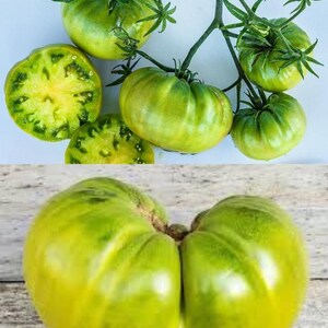 May include: A collection of green heirloom tomatoes, some whole and others sliced, showcasing their vibrant interior. The tomatoes are on a vine, with a close-up of a large, uniquely shaped tomato. The color ranges from light to dark green.