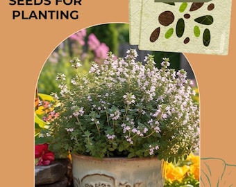 Herb Seeds - Thyme Summer Seeds, Thymus (50 seeds), seeds for planting