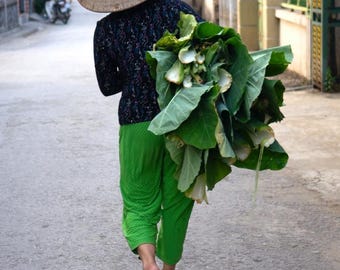 Woman with Greens, Mai Châu– Museum-Grade Metal Print