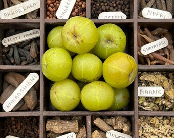 Amla in Spice Box, Delhi- Museum-Grade Metal Print