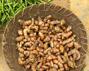 Turmeric & Beans, Delhi – Museum-Grade Metal Print