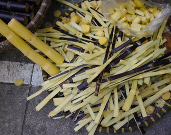Cut Sugarcane, Hoi An – Museum-Grade Metal Print