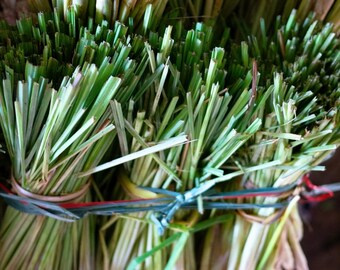 Fresh Cut Chives, Vietnam – Museum-Grade Metal Print