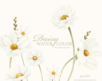 Watercolor Daisy Clipart Hand-Painted Floral PNG, Wedding Design