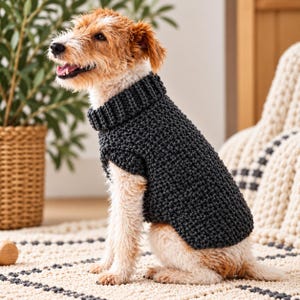 Può includere: Un cane terrier a pelo ruvido con manto bianco e marrone chiaro indossa un maglione a maglia grossa color grigio antracite scuro. Il maglione presenta un collo alto a coste spesso e un motivo a legaccio testurizzato che copre il busto.