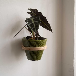 Könnte beinhalten: Ein grüner Keramik-Pflanztopf mit strukturiertem Muster, der eine Zimmerpflanze mit dunkelgrünen Blättern enthält. Der Topf wird von einem hellen Holzring gehalten, der an einer weißen Wand befestigt ist. Die Pflanze hat große, geaderte Blätter.