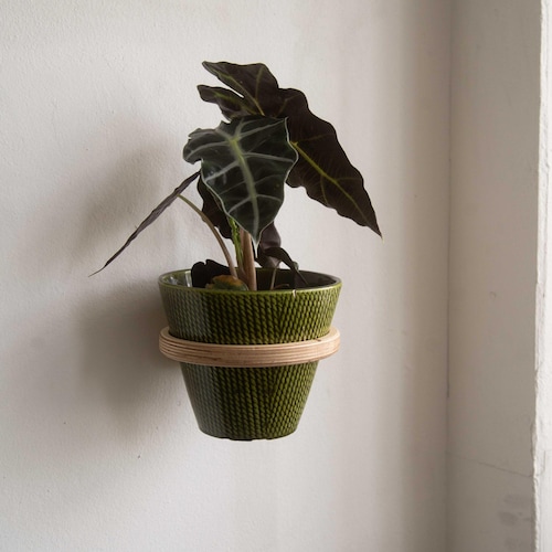 Wooden plant wall bracket – Modern flower pot holder made of birch plywood – Minimalist wall decoration for hanging plants