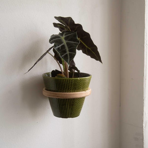 Suporte de parede para plantas em madeira – Suporte moderno para vasos de flores feito de madeira compensada de bétula – Decoração de parede minimalista para plantas suspensas