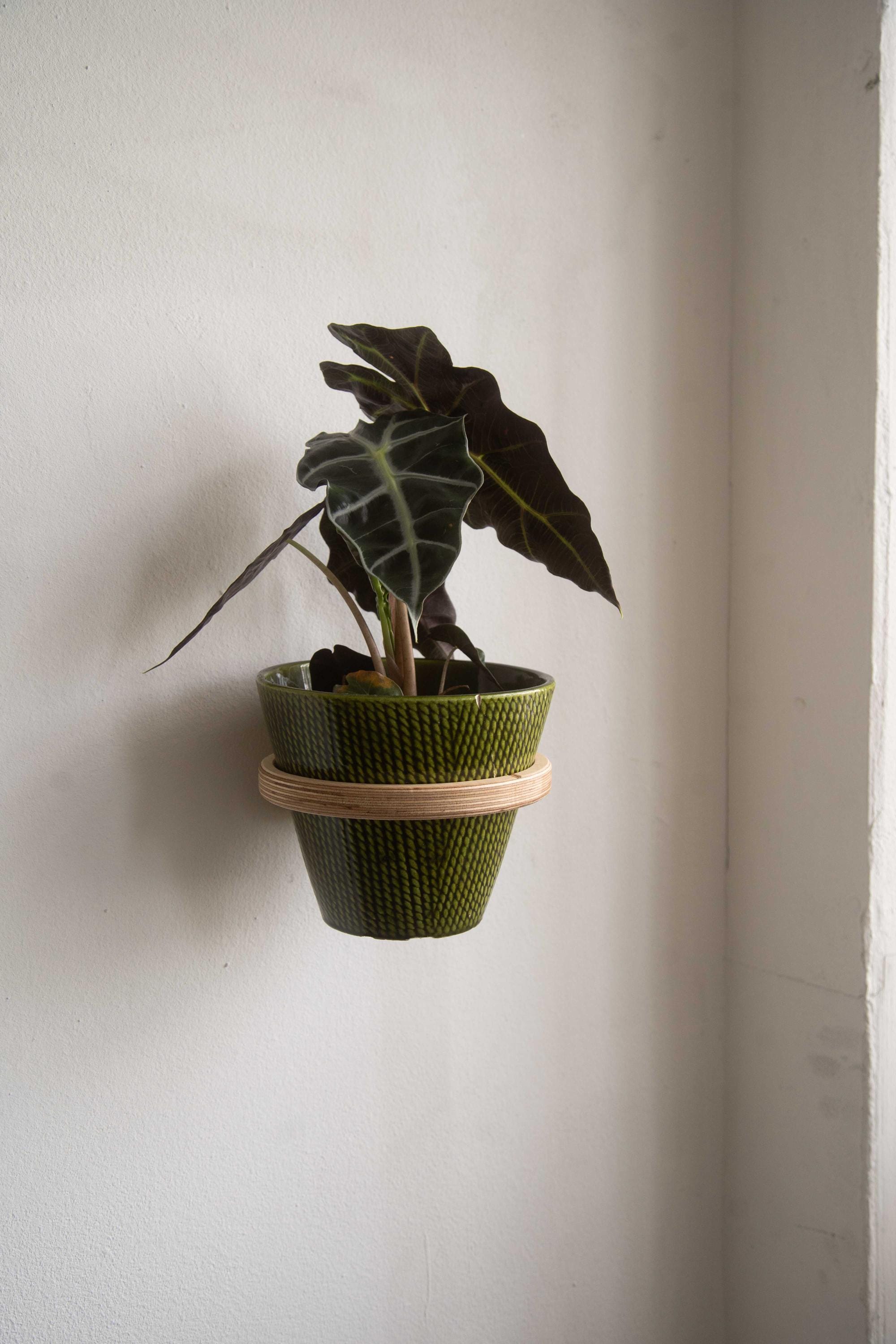 Wooden plant wall holder – Modern flowerpot holder made of birch multiplex – Minimalist wall decoration for hanging plants