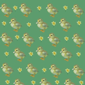 Duckling pattern green