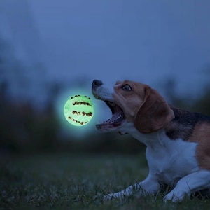 May include: A beagle dog with brown and white fur is focused on a glowing green ball, mouth open. The ball has dark brown stripes. The scene is set outdoors at dusk, with a dark blue sky and green grass. The dog is in mid-action.